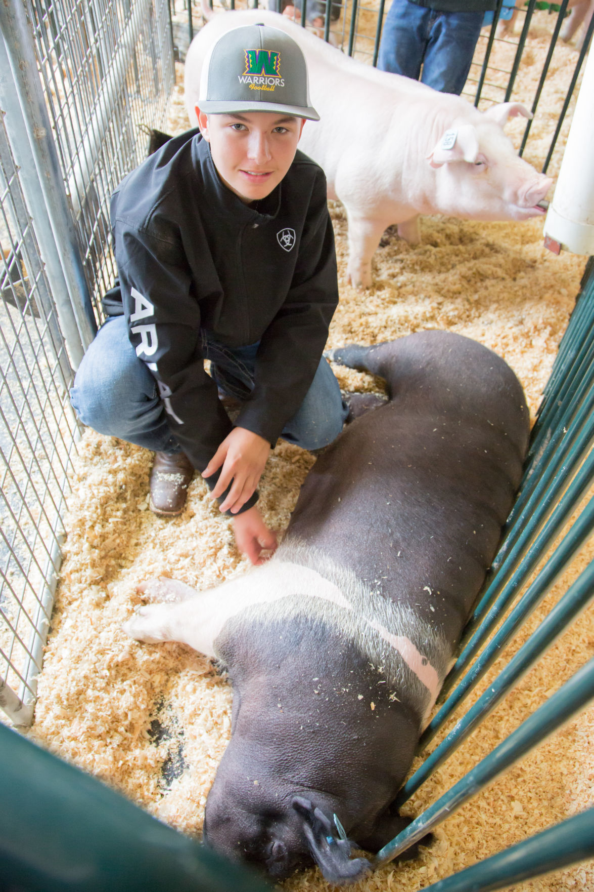 070919 SB Fair Animal Judging 05.jpg